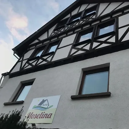 Moselina Ferienwohnungen Sankt Aldegund Exterior photo