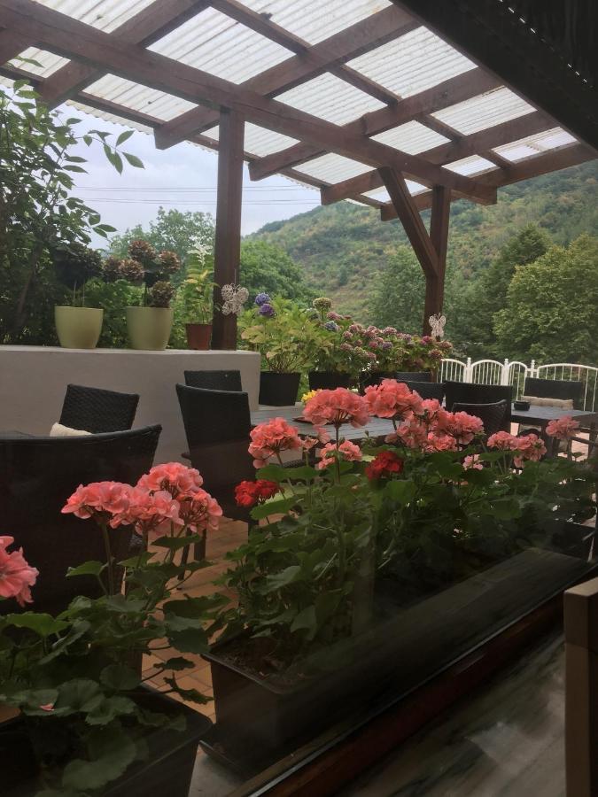 Apartment Moselina