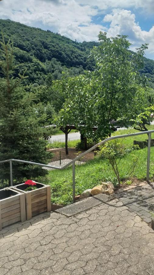 Apartment Moselina