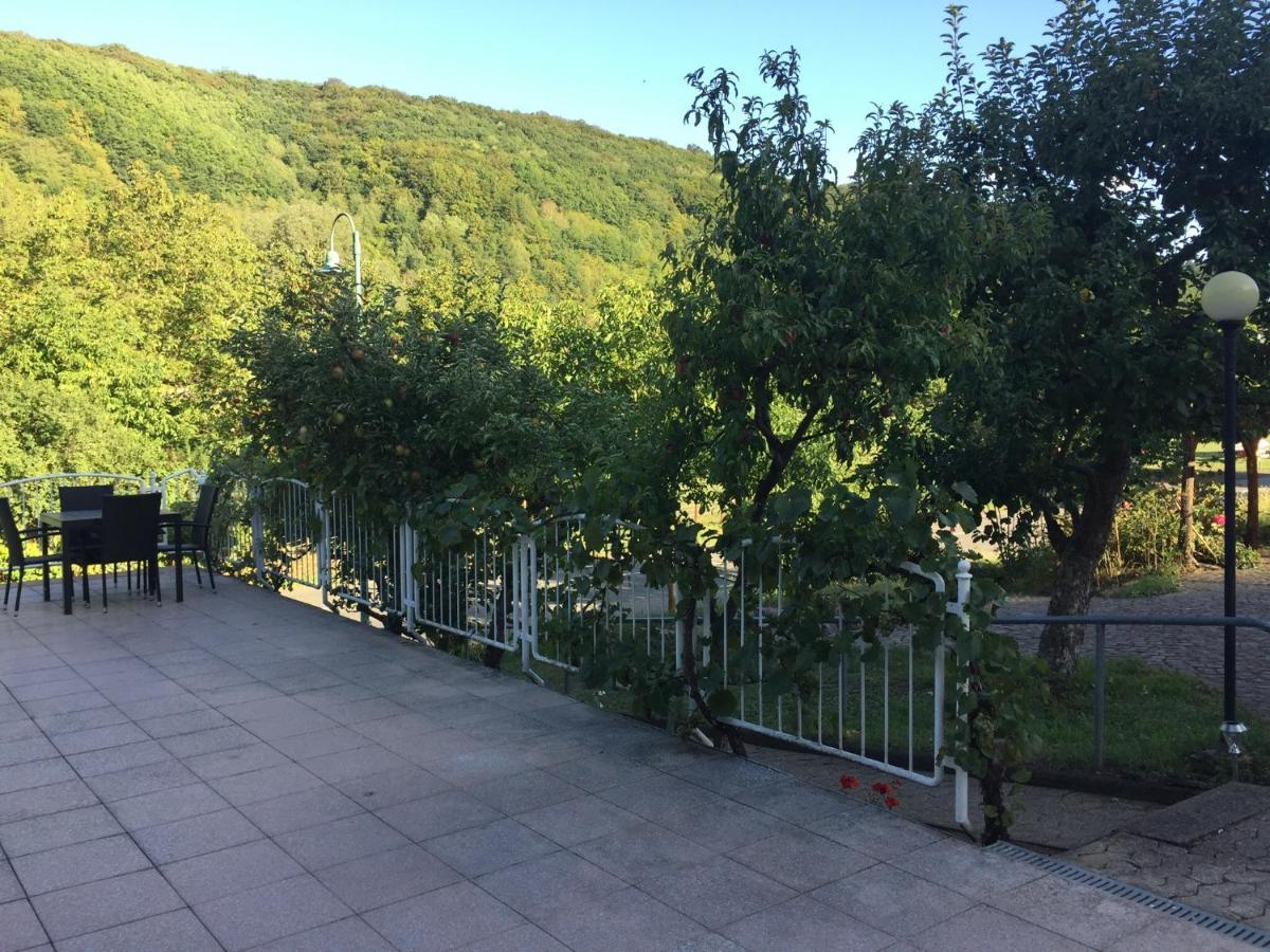 Moselina Apartment Sankt Aldegund